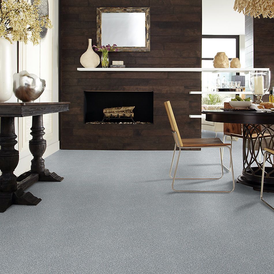 Shaw Floors SFA Fyc Tt II Net Misty Rain (t) 529T_5E022