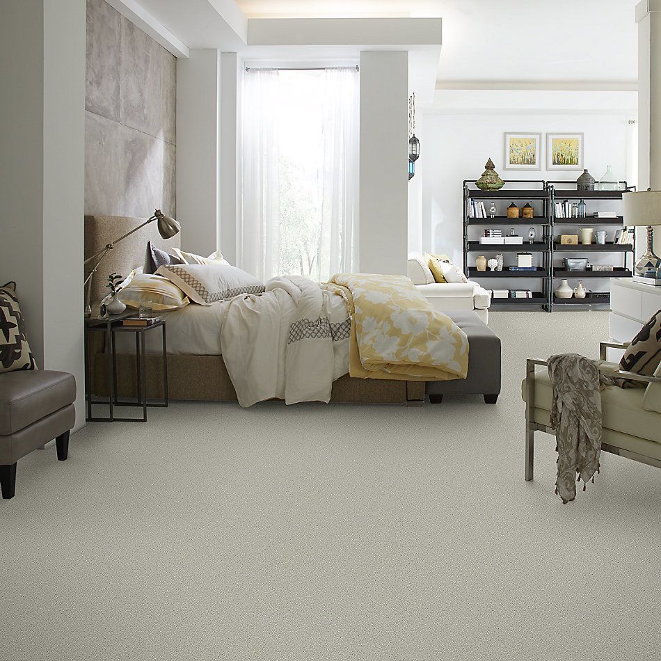 Shaw Floors Simply The Best Montage I River Rock 530A_5E081