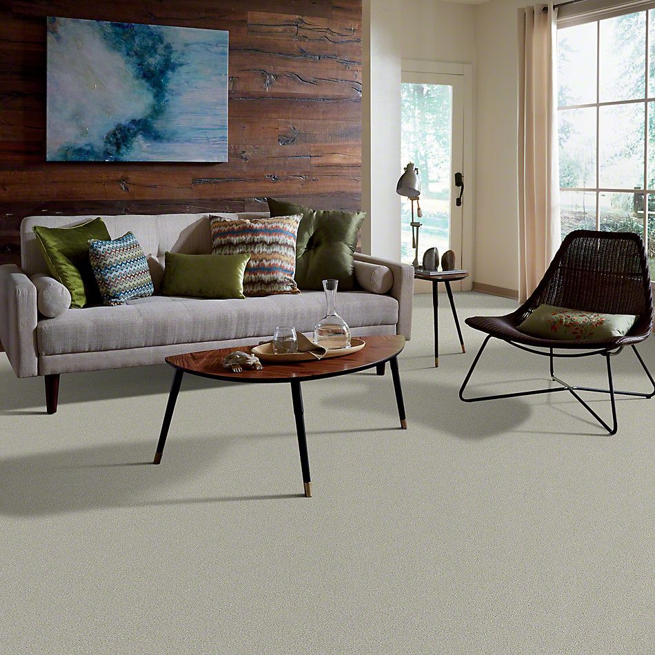 Shaw Floors Simply The Best Montage II River Rock 530A_5E082