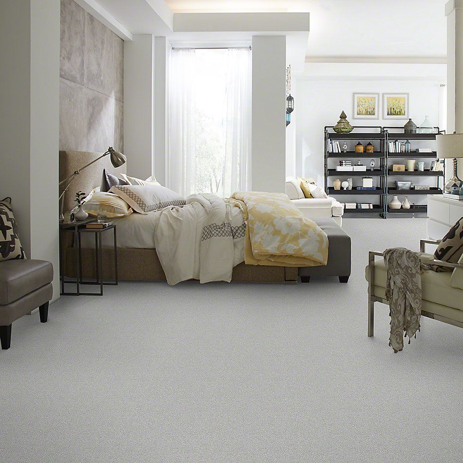 Shaw Floors SFA Find Your Comfort Ns I Polished Silver (s) 538S_EA814