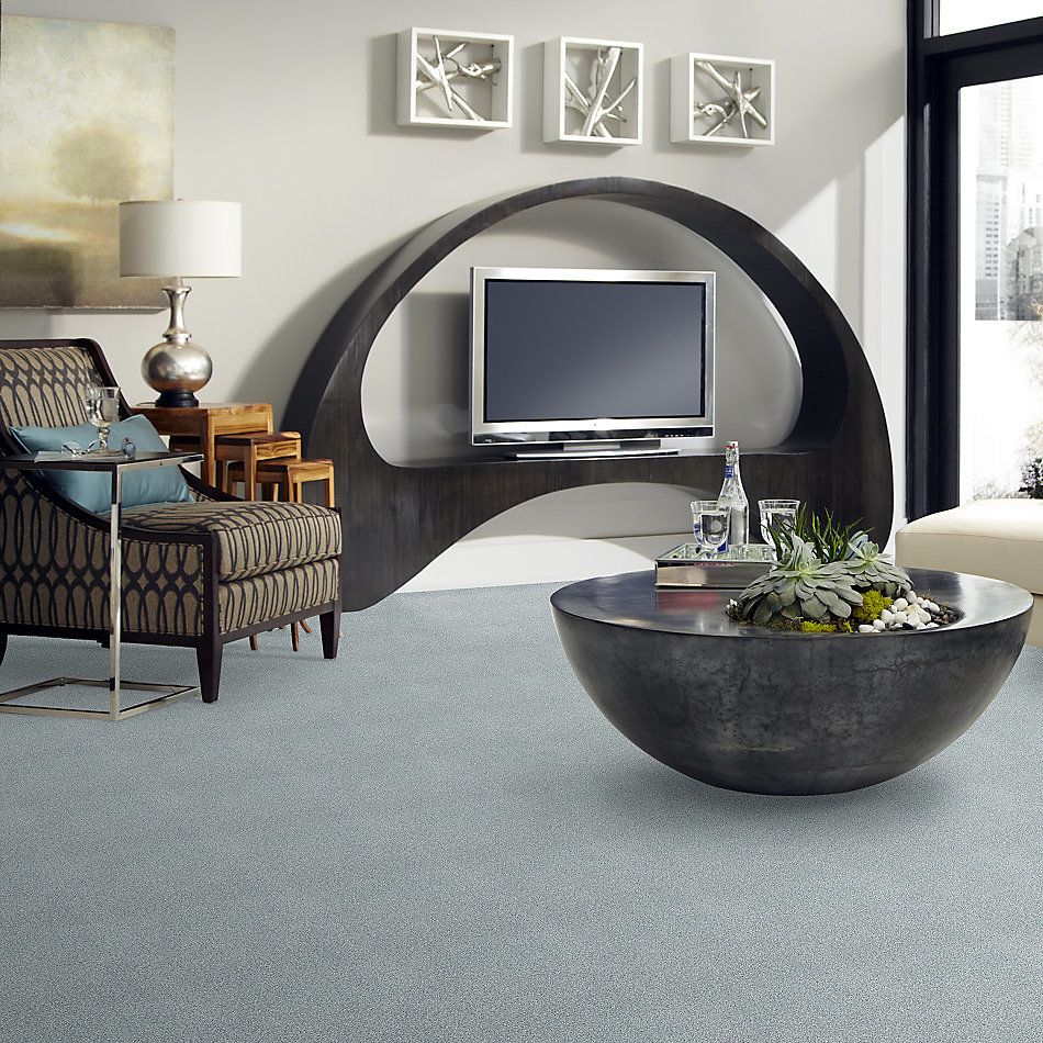 Shaw Floors SFA Fyc Tt Blue Net Polished Silver (t) 538T_5E023