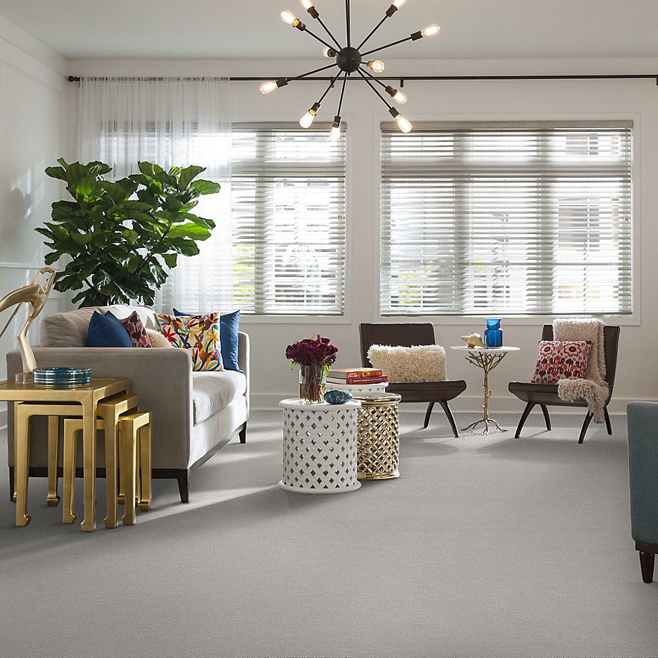 Shaw Floors SFA Fyc Ns I Net Morning Dew (s) 539S_5E018