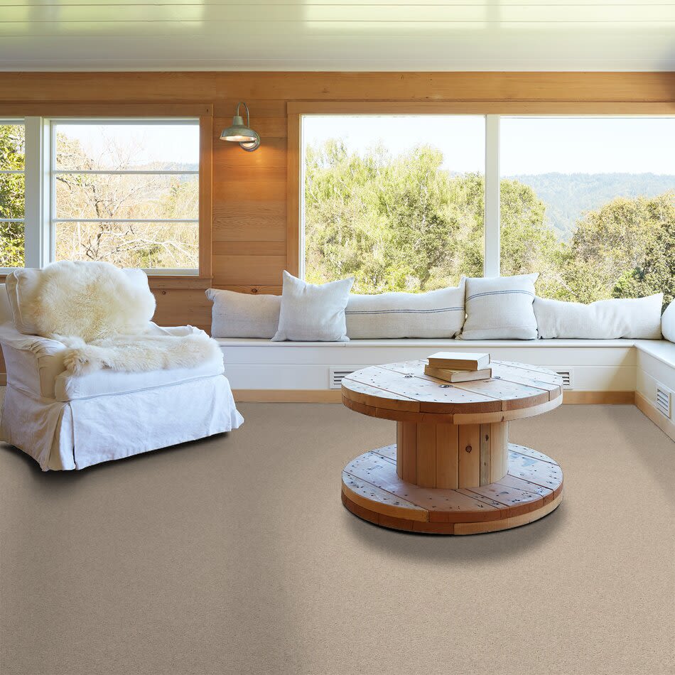 Shaw Floors Shaw Floor Studio Textured Story 12 Alabaster 55100_52B75