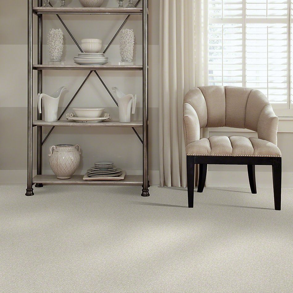 Shaw Floors Value Collections Newbern Classic 12′ Net Ivory Tint 55101_E9198