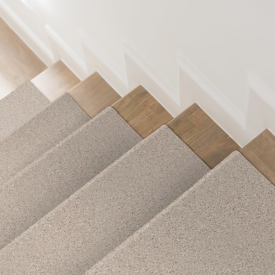 Shaw Floors Nationwide Fox Point 15′ Cashmere 55103_7X893