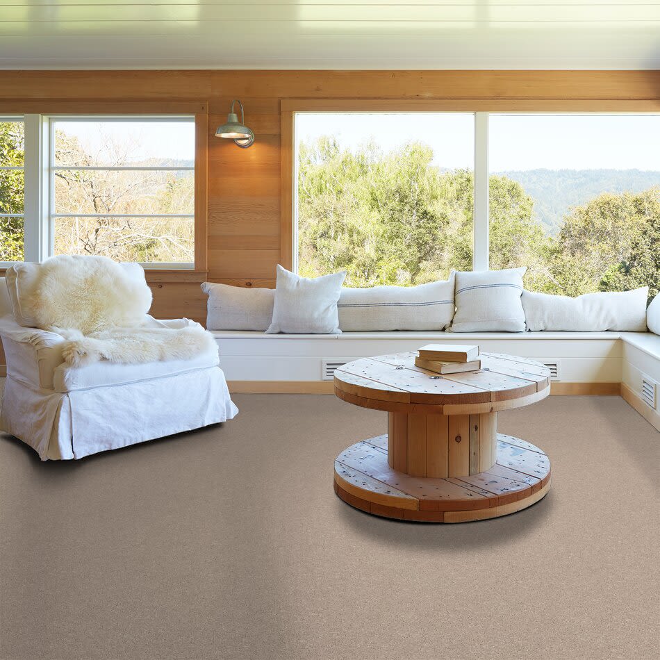 Shaw Floors Bb Realtor II 12 Taupe 55105_750D1