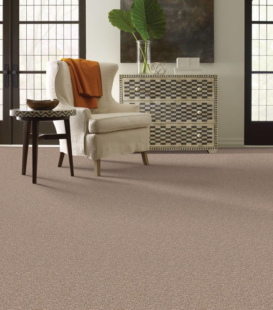 Shaw Floors Shaw Flooring Gallery Canvas Prairie 00710_5518G