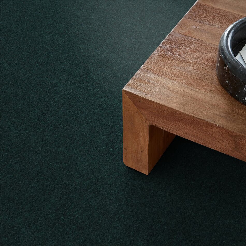 Shaw Floors Shaw Design Center Lacona 12′ Polo 55301_5C161