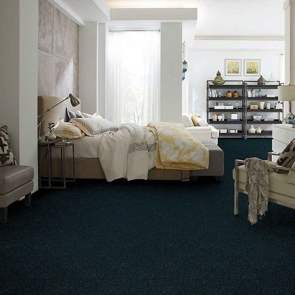 Shaw Floors Shaw Design Center Lacona 15′ Polo 55301_5C162