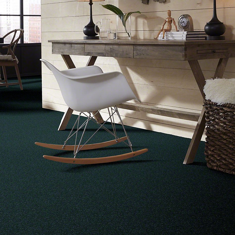 Shaw Floors Newbern Classic 12′ Polo 55301_E0949