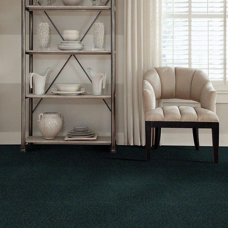 Shaw Floors Value Collections Dyersburg Classic 15′ Net Polo 55301_E9193