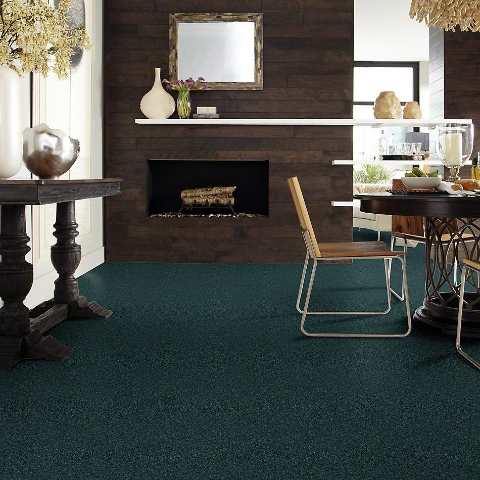 Shaw Floors Value Collections Newbern Classic 12′ Net Polo 55301_E9198