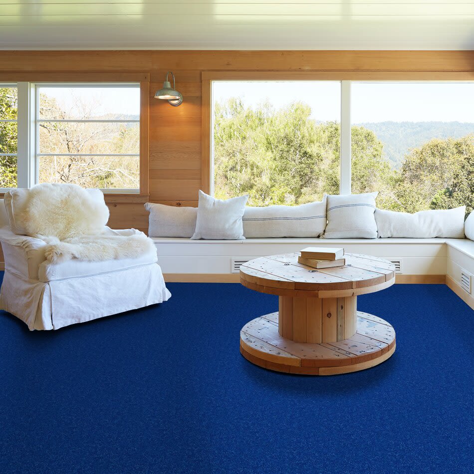 Shaw Floors Nationwide Fox Point 15′ Cobalt 55453_7X893