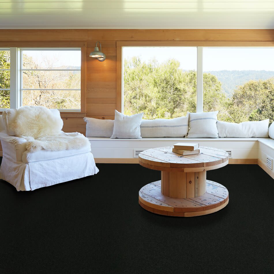 Shaw Floors Property Solutions Fairington II 12′ Coal Black 55502_HF723