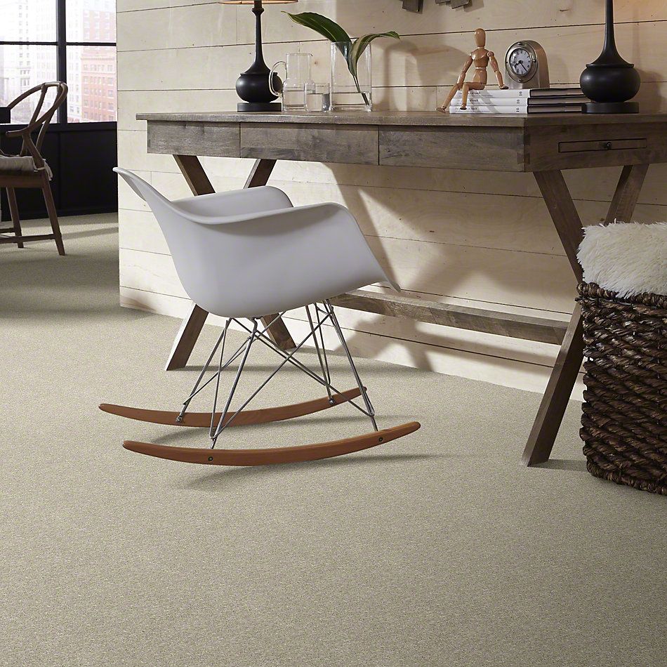 Shaw Floors Value Collections Dyersburg Classic 15′ Net Dove 55700_E9193