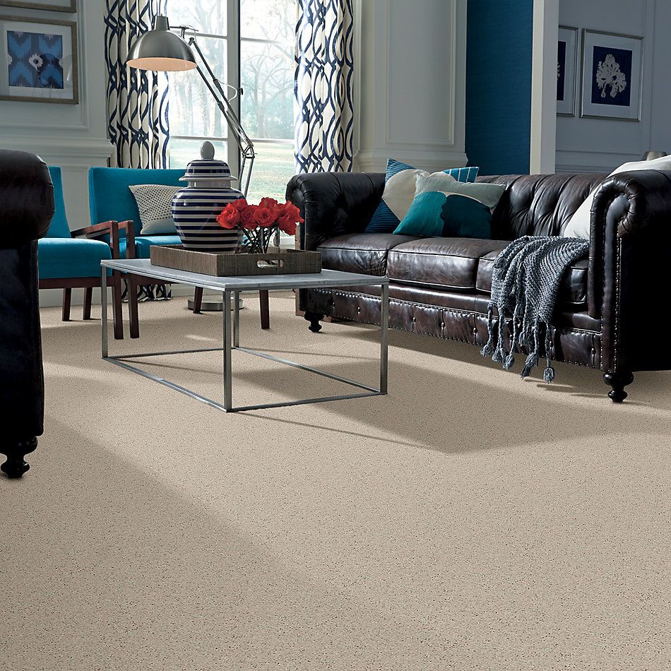 Shaw Floors Value Collections Nantucket Summer 12′ Dove 55700_E9903