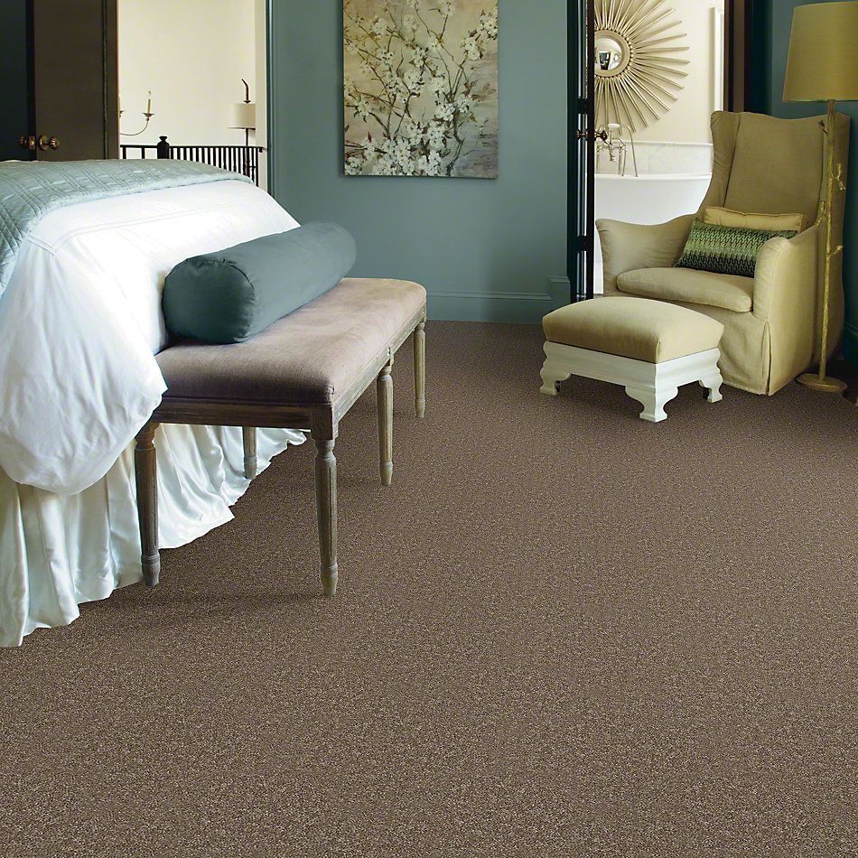 Shaw Floors Shaw Design Center Lacona 15′ Driftwood 55720_5C162