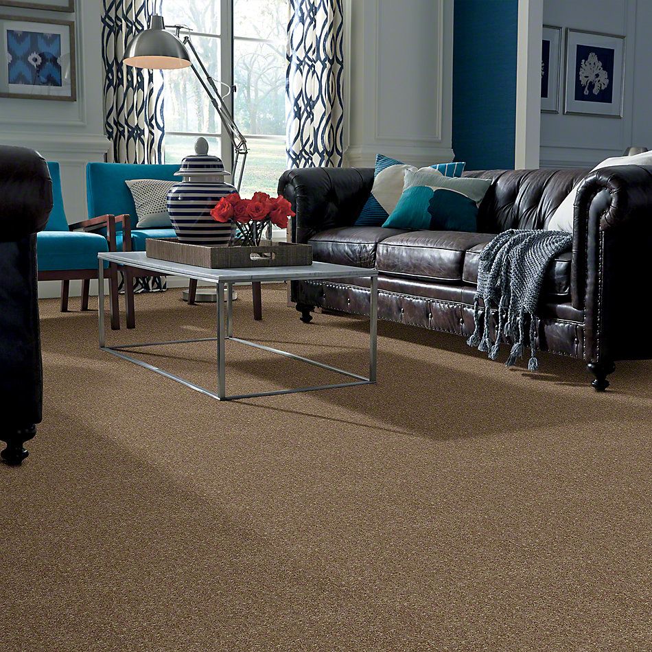 Shaw Floors Value Collections Dyersburg Classic 15′ Net Driftwood 55720_E9193