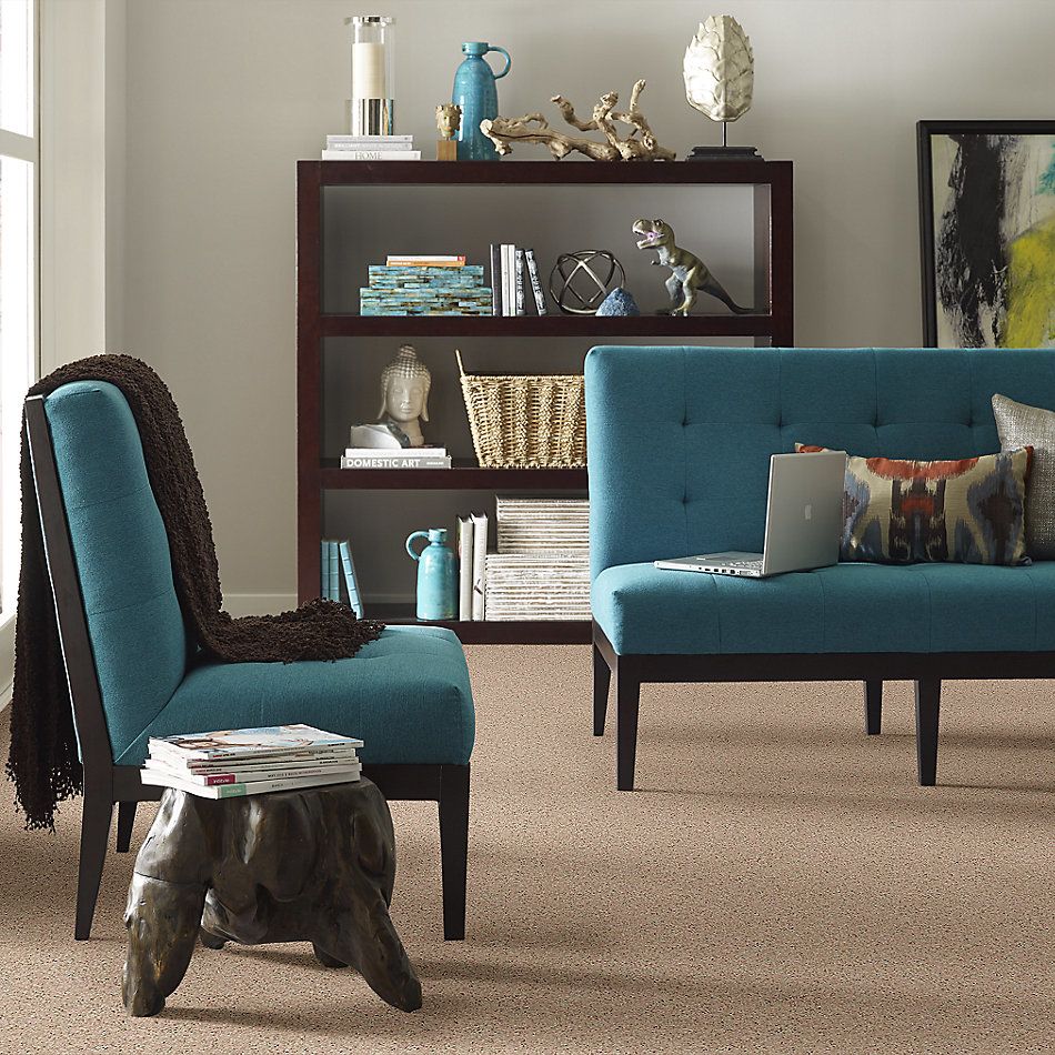 Shaw Floors Value Collections Nantucket Summer 12′ Dusty Trail 55793_E9903