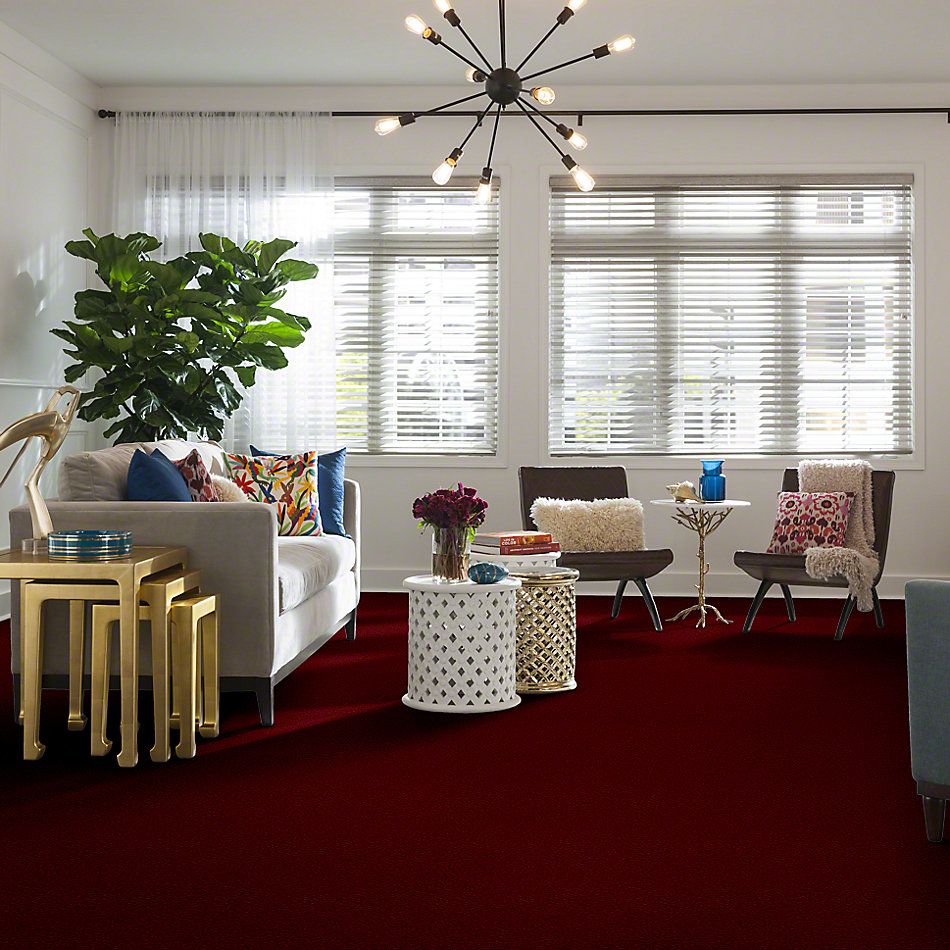 Shaw Floors Value Collections Newbern Classic 15′ Net Crimson 55803_E9199