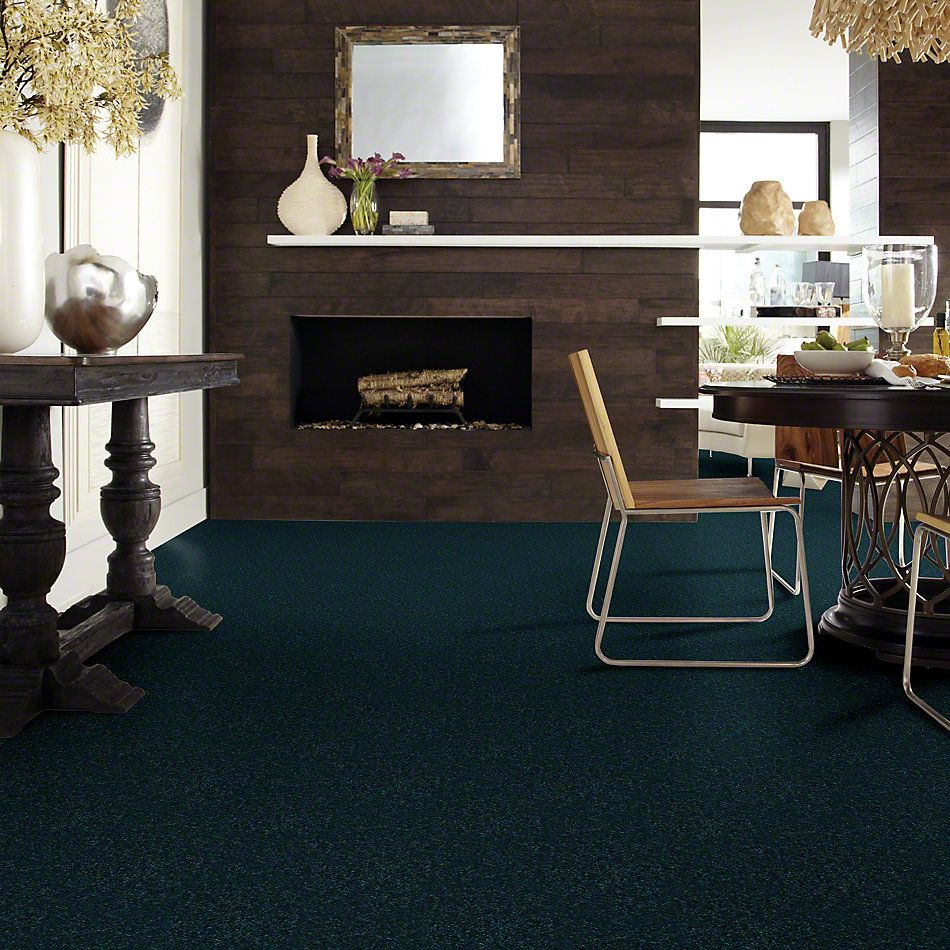 Shaw Floors Dashing II 15′ Polo 58301_A4447