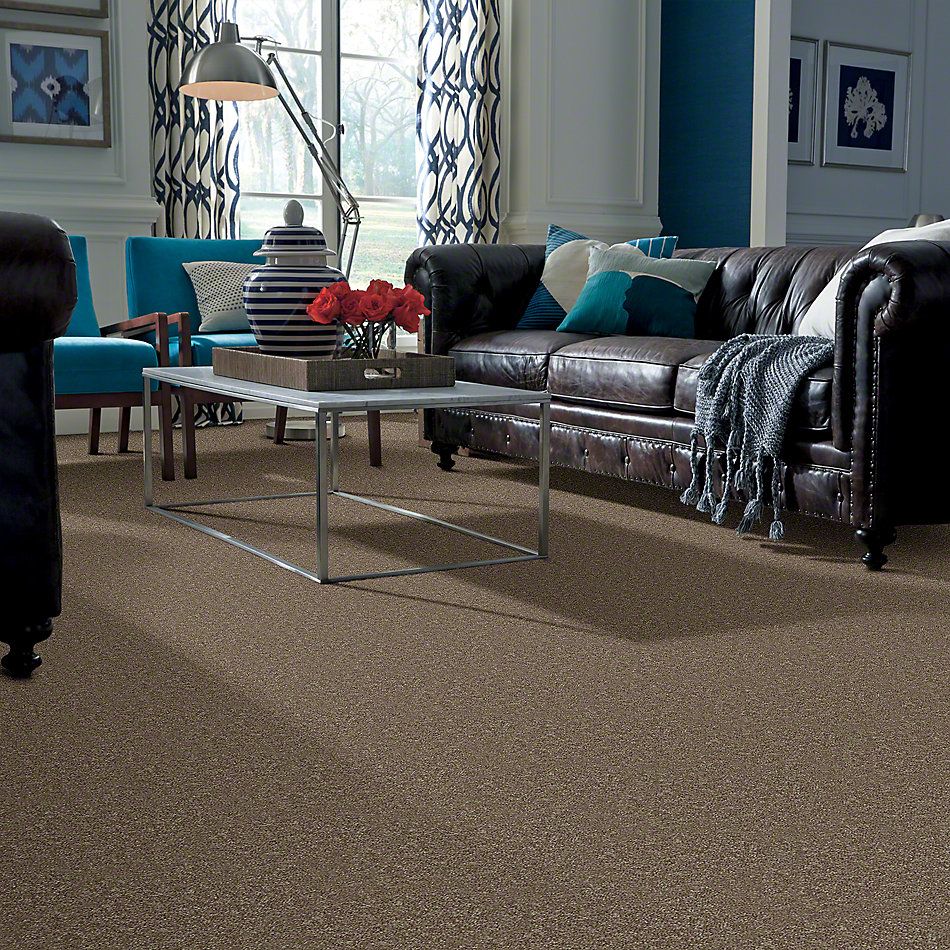 Shaw Floors Dashing II 12′ Driftwood 58720_A4258