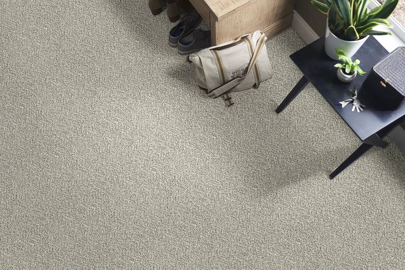 Shaw Floors Value Collections Cabana Bay (b) Net Winter 00150_5E001