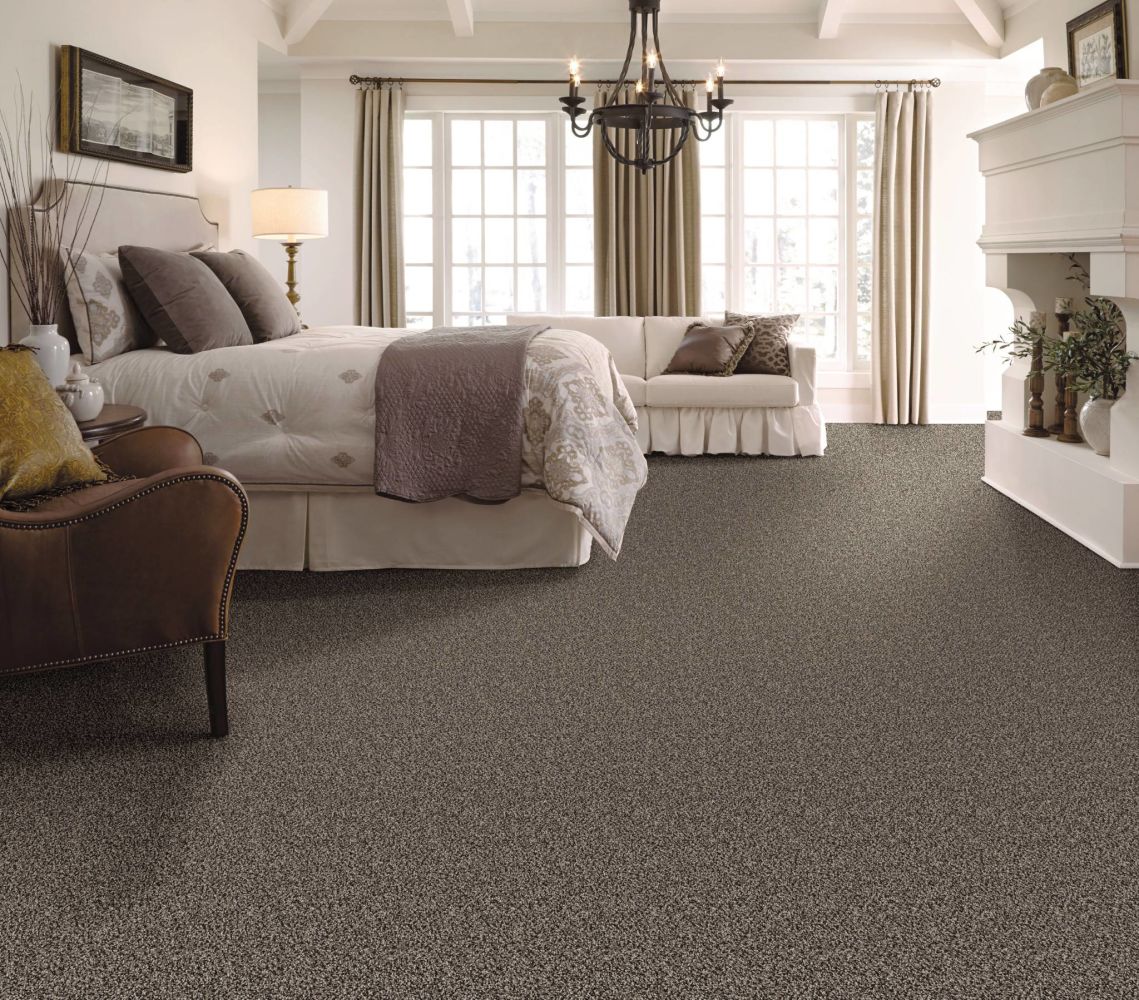 Shaw Floors Simply The Best All About It Meteorite 00501_5E038