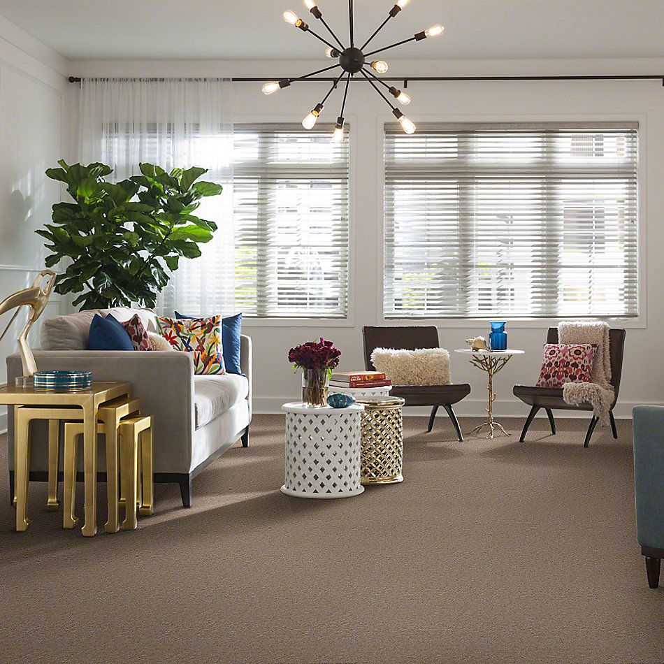 Shaw Floors Hawkeye Birch Hill 65720_51065