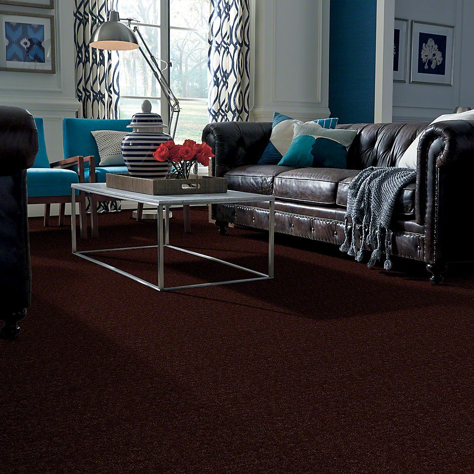 Shaw Floors Hawkeye Tree Bark 65722_51065