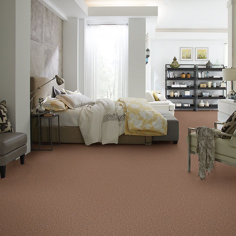 Shaw Floors Arlington Park Doeskin 65741_MW206