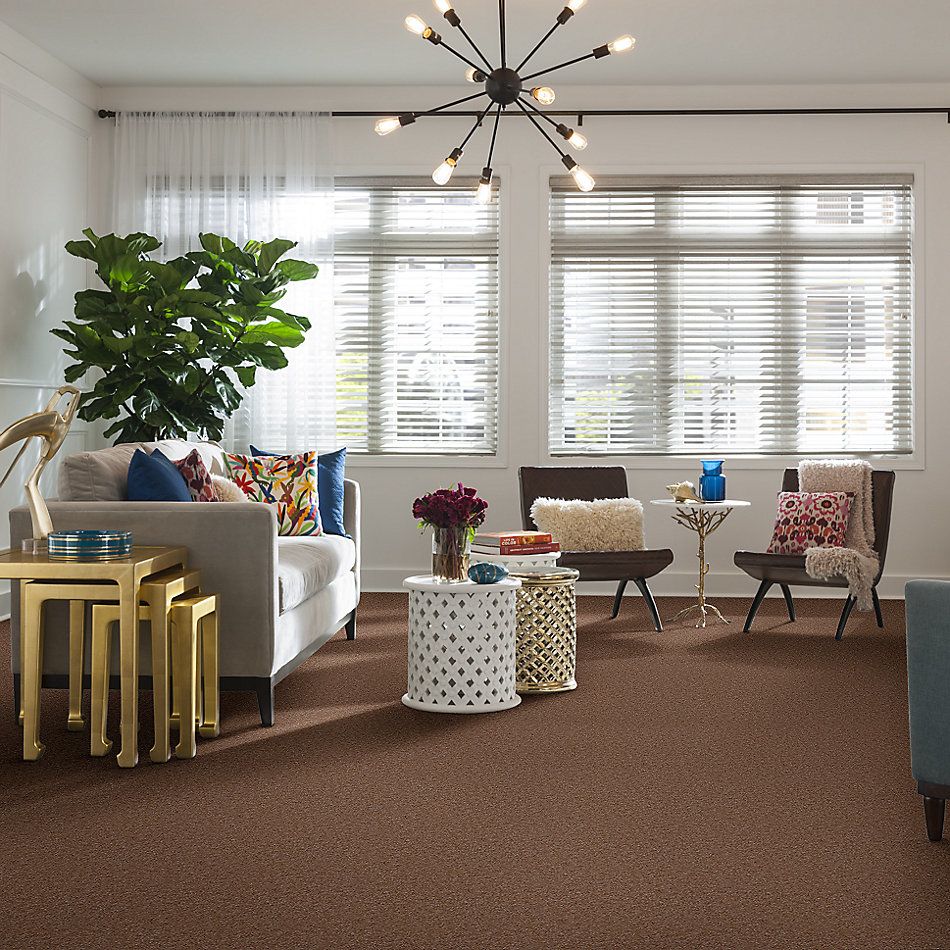 Shaw Floors Arlington Park Doeskin 65741_MW206