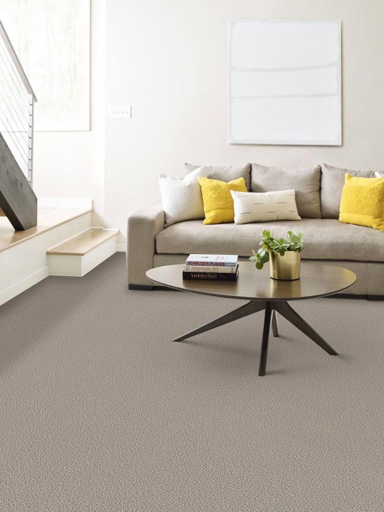 Shaw Floors Carpet Diem Cozy Taupe 00102_6E009
