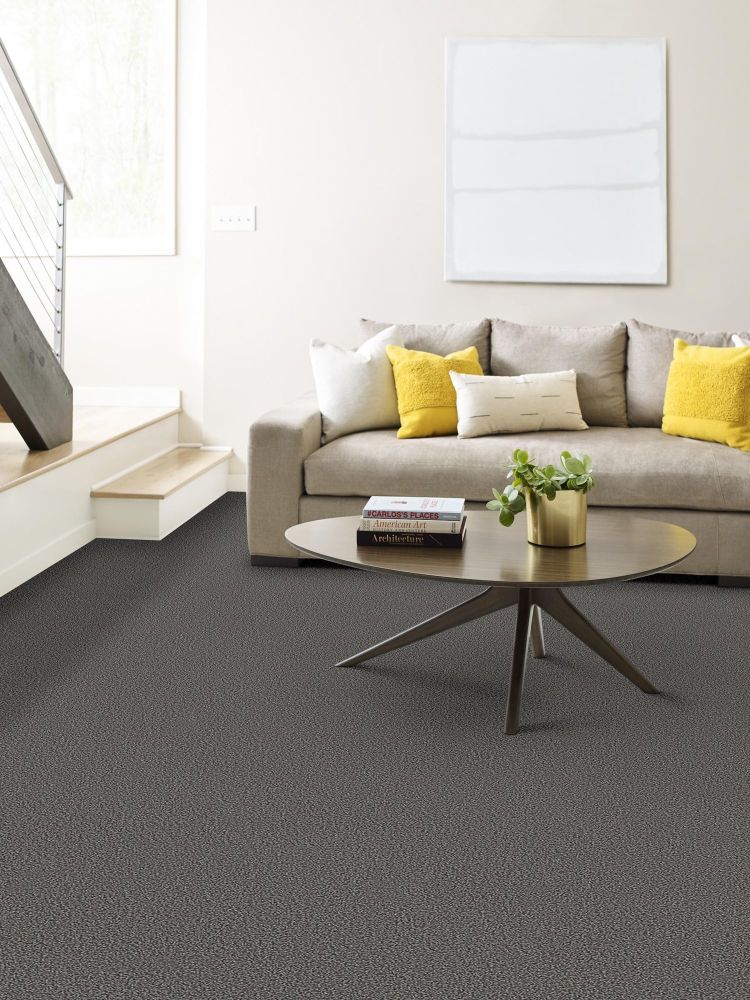 Shaw Floors Carpet Diem Nightfall 00501_6E009