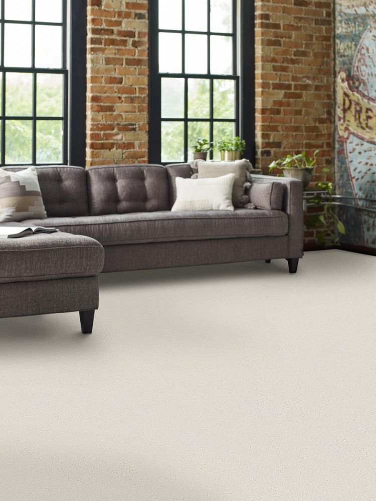 Shaw Floors Tambre Snow Kissed 00101_6E011