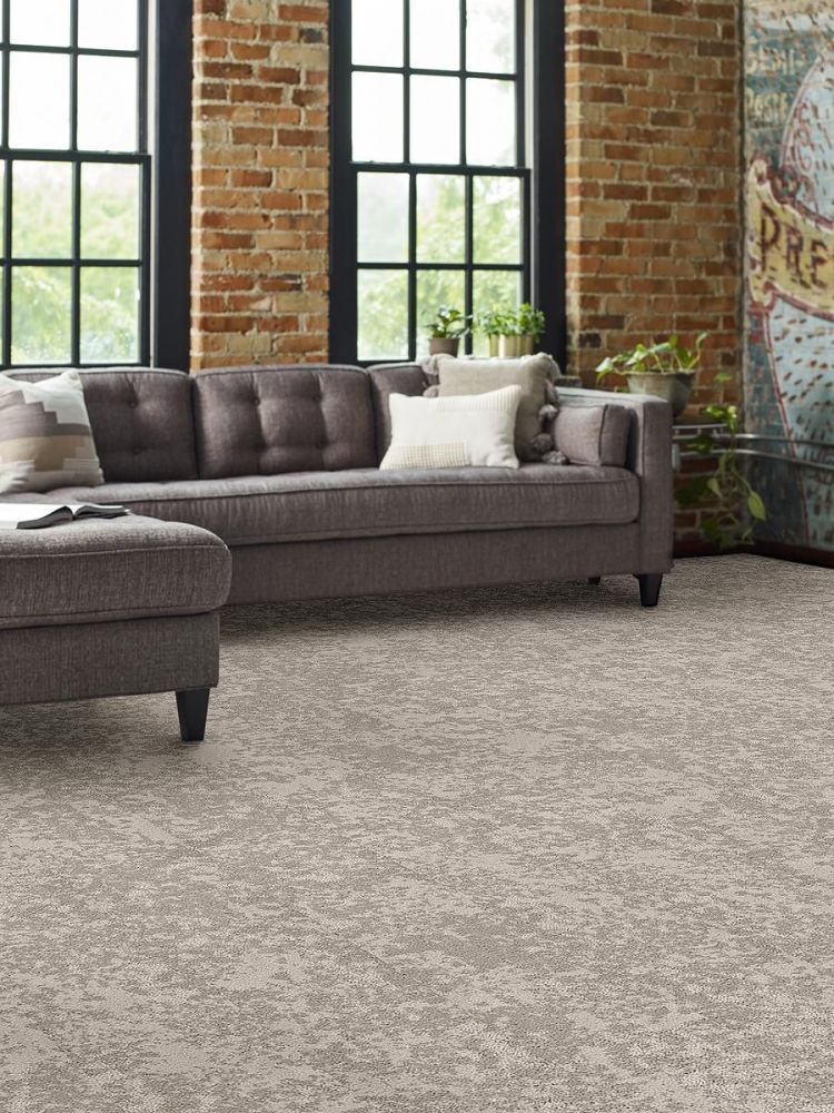 Shaw Floors Woven Fringe Moongaze 00500_6E013