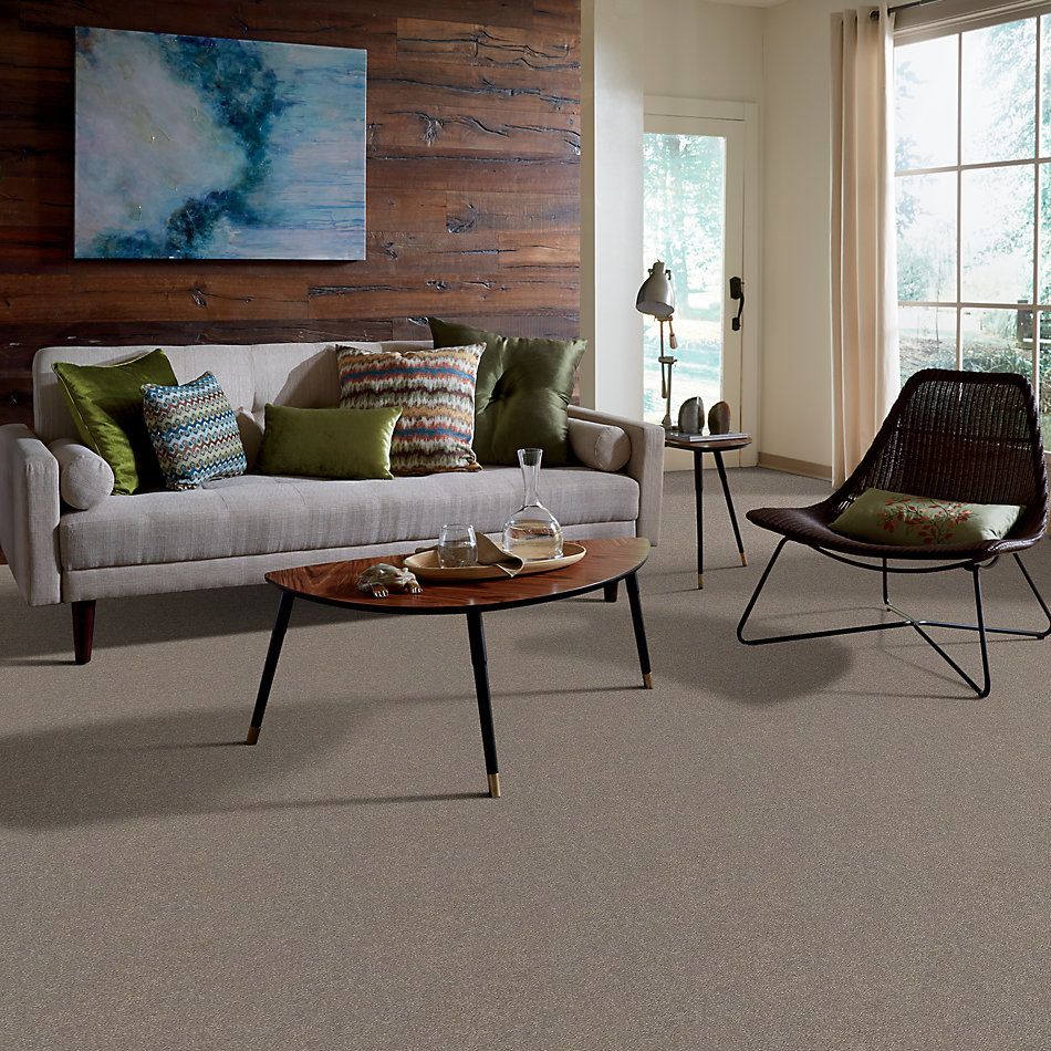 Shaw Floors Value Collections Attainable Net Smooth Taupe 700S_5E094
