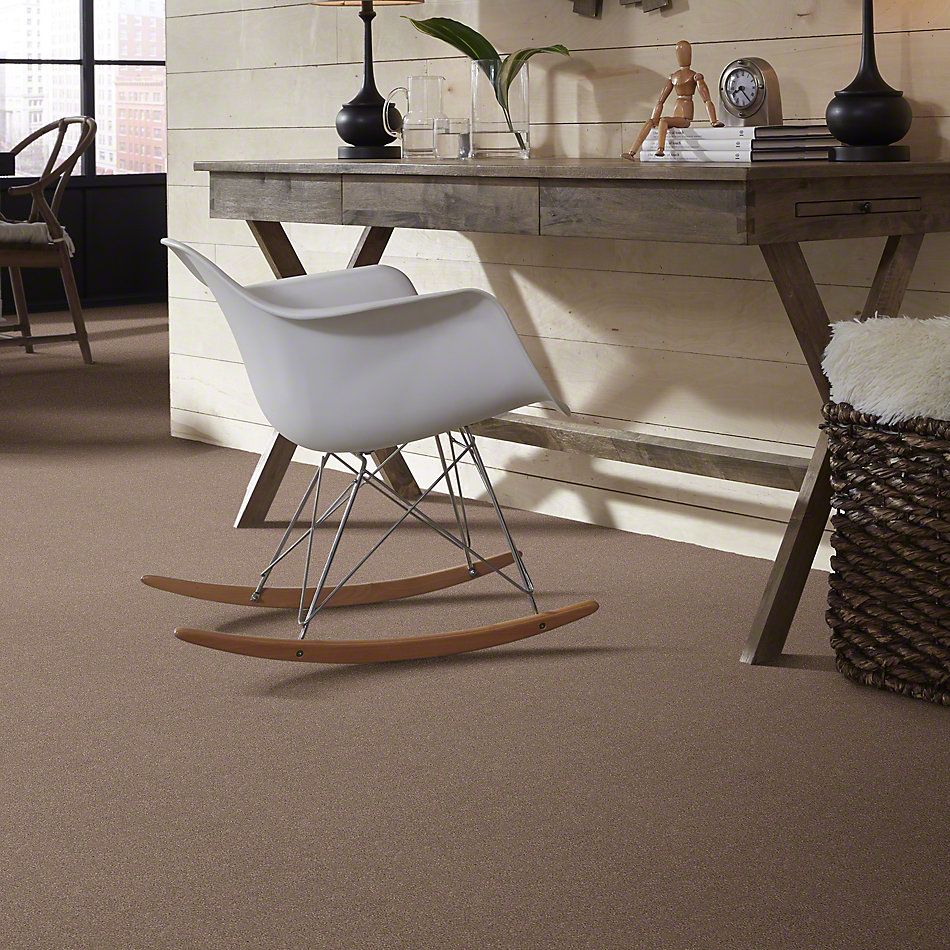 Shaw Floors Simply The Best Momentum I Canyon Buff 700S_E9967