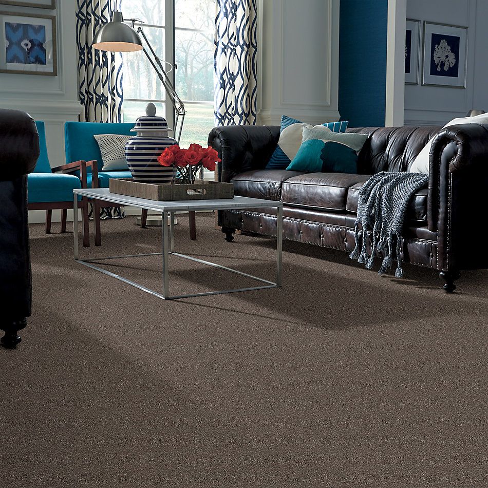 Shaw Floors Simply The Best Attainable Net Urban Loft 702S_5E094