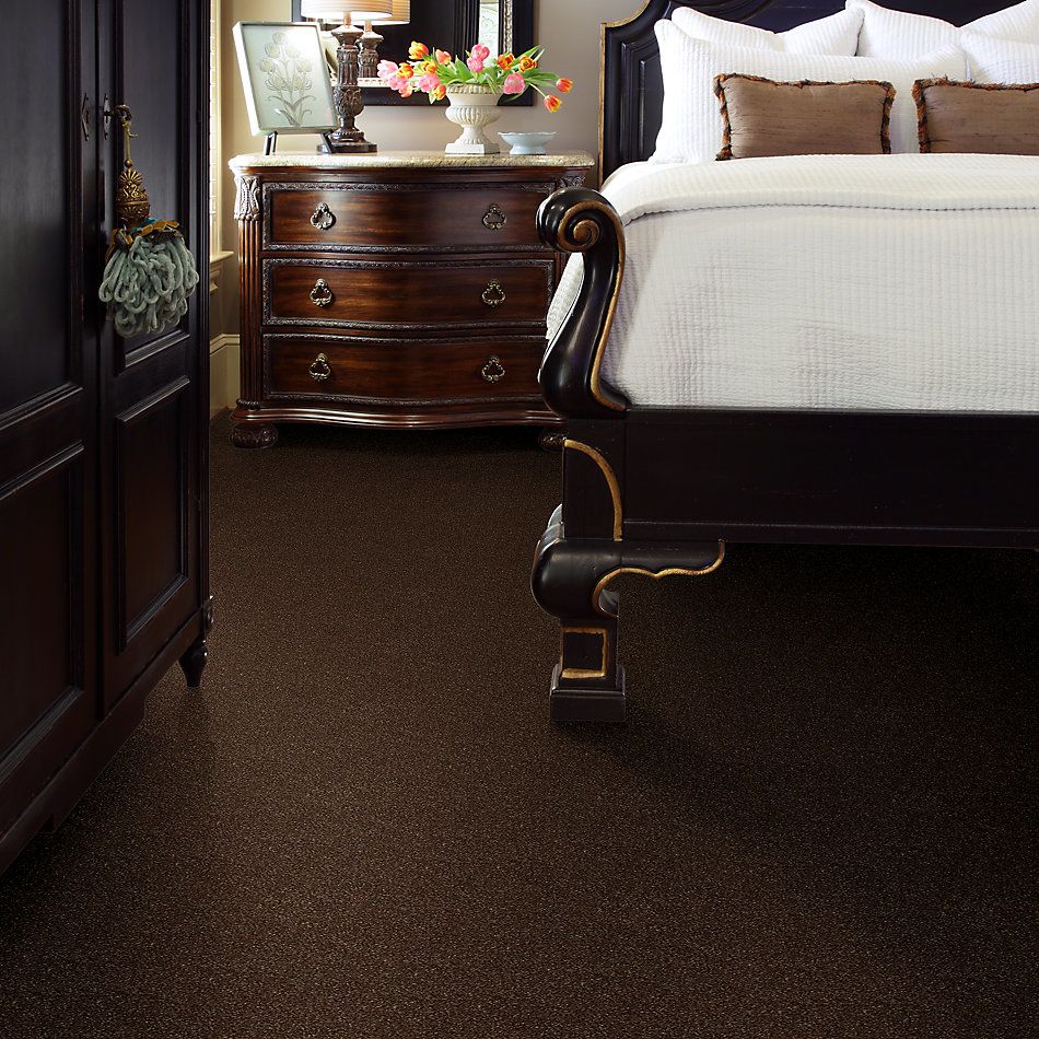 Shaw Floors SFA Fyc Ns II Net Chocolate Treat (s) 707S_5E019
