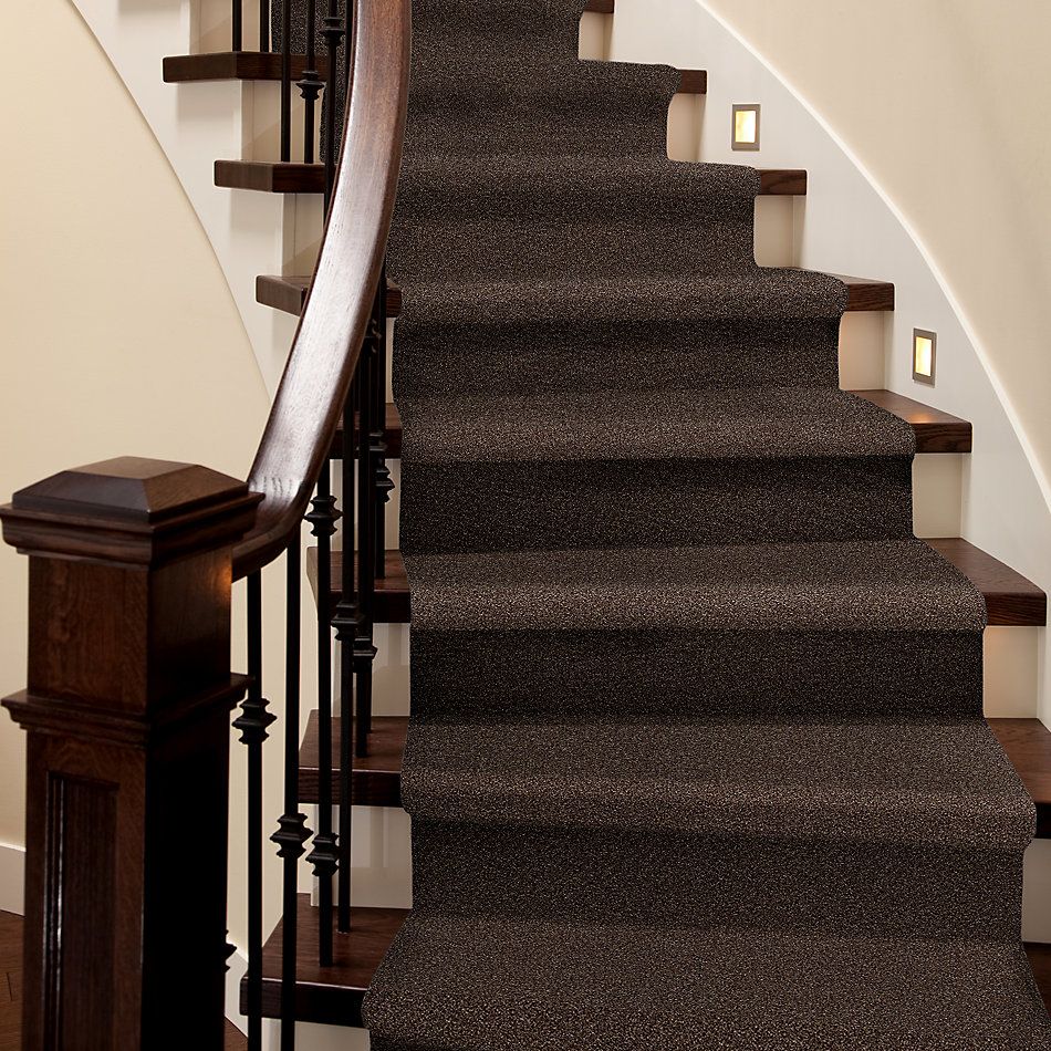 Shaw Floors SFA Fyc Tt I Net Chocolate Treat (t) 707T_5E021