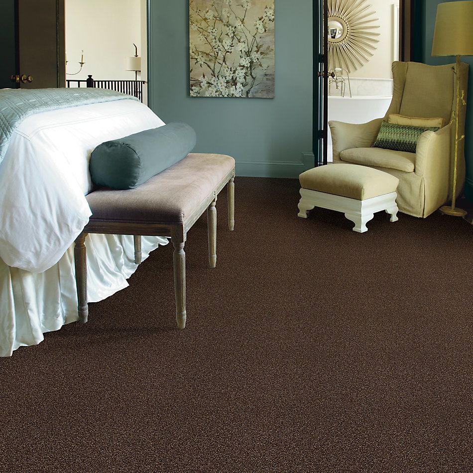 Shaw Floors SFA Fyc Tt Blue Net Chocolate Treat (t) 707T_5E023
