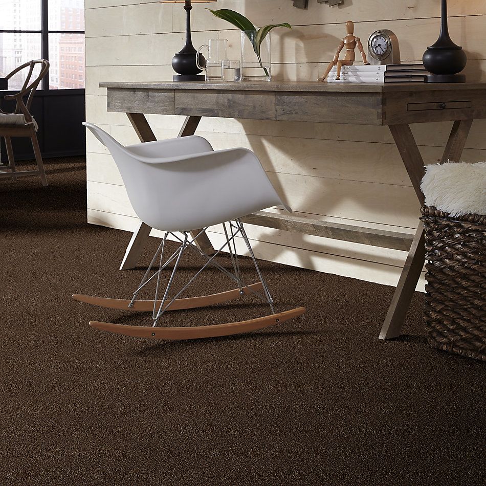 Shaw Floors SFA Fyc Tt Blue Net Chocolate Treat (t) 707T_5E023