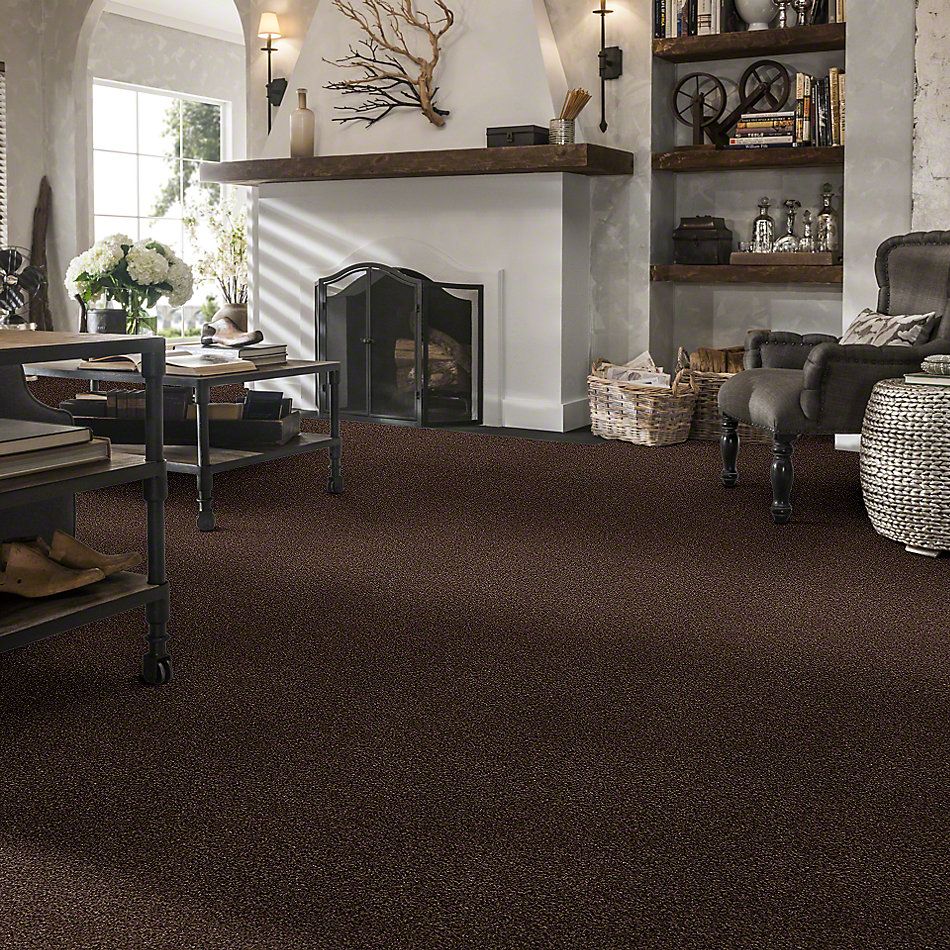 Shaw Floors SFA Find Your Comfort Tt I Chocolate Treat (t) 707T_EA817