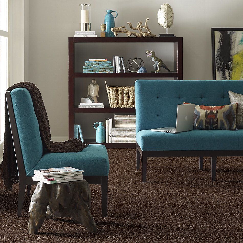 Shaw Floors SFA Find Your Comfort Tt II Chocolate Treat (t) 707T_EA818