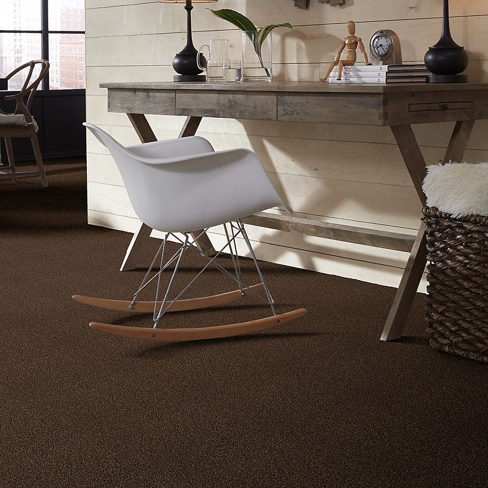 Shaw Floors SFA Find Your Comfort Tt II Chocolate Treat (t) 707T_EA818