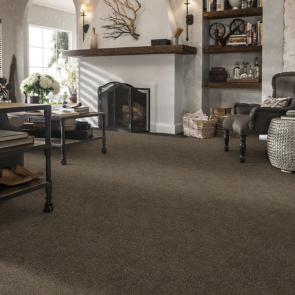 Shaw Floors SFA Fyc Ns I Net Summer House (s) 708S_5E018