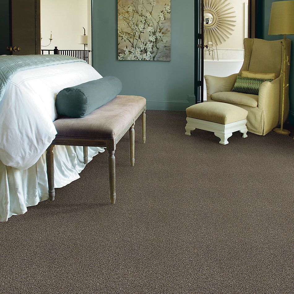 Shaw Floors SFA Fyc Tt I Net Summer House (t) 708T_5E021