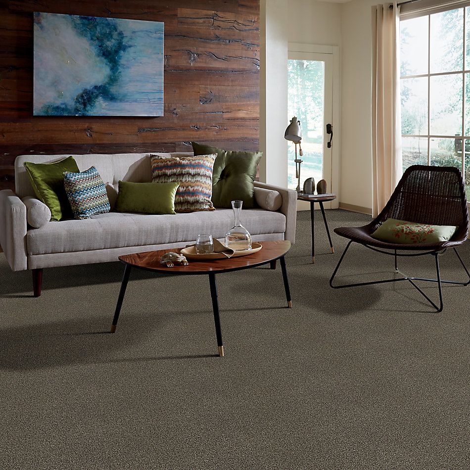 Shaw Floors SFA Fyc Tt II Net Summer House (t) 708T_5E022