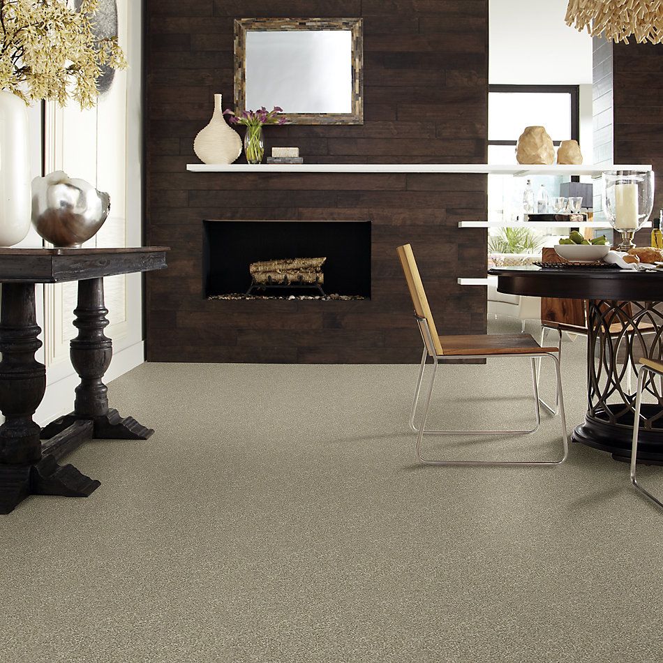 Shaw Floors Simply The Best Attainable Net Grecian Tan 720T_5E094